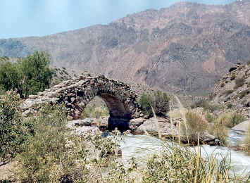 picheuta.jpg (146779 bytes)