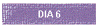 DIA 6