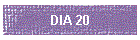DIA 20
