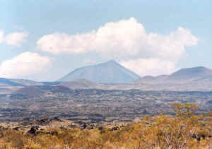 payunia_03.jpg (33616 bytes)