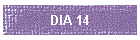 DIA 14