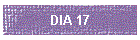 DIA 17