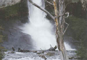 CHORRILLO 01.jpg (68013 bytes)