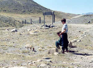 ZORRITO.jpg (114194 bytes)