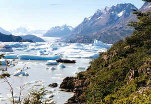 GREY1.JPG (84688 bytes)