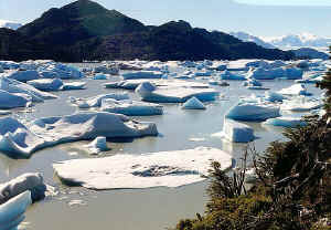 GREY2.JPG (90324 bytes)