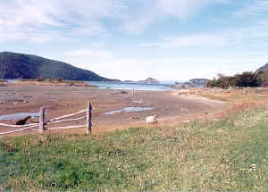 LAPATAIA01.jpg (98751 bytes)