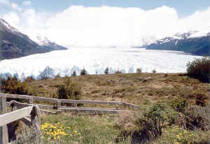 glaciar_flores.jpg (89707 bytes)