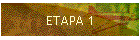 ETAPA 1