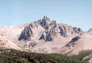 bosque_zeballos_02.jpg (74469 bytes)