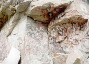 mano_01.jpg (83836 bytes)