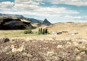 roballos_02.jpg (99030 bytes)