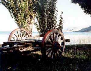 suyai_01.jpg (93821 bytes)