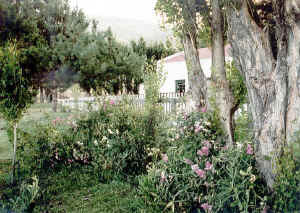 suyai_02.jpg (132336 bytes)