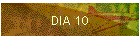 DIA 10
