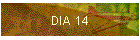 DIA 14