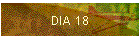 DIA 18