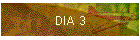 DIA 3